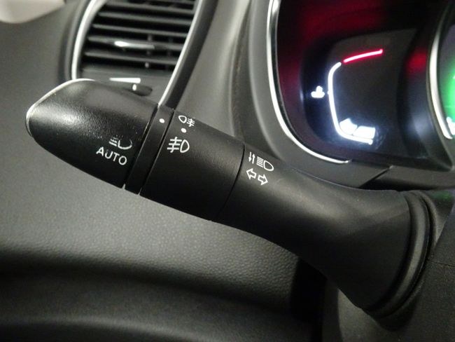 Foto Renault Grand Scenic 22