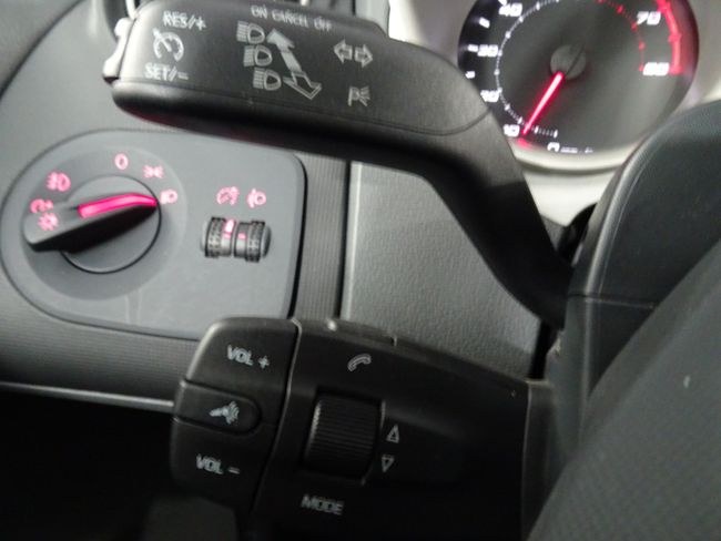 Foto Seat Ibiza 21