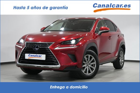 Lexus NX 300h Business 2WD