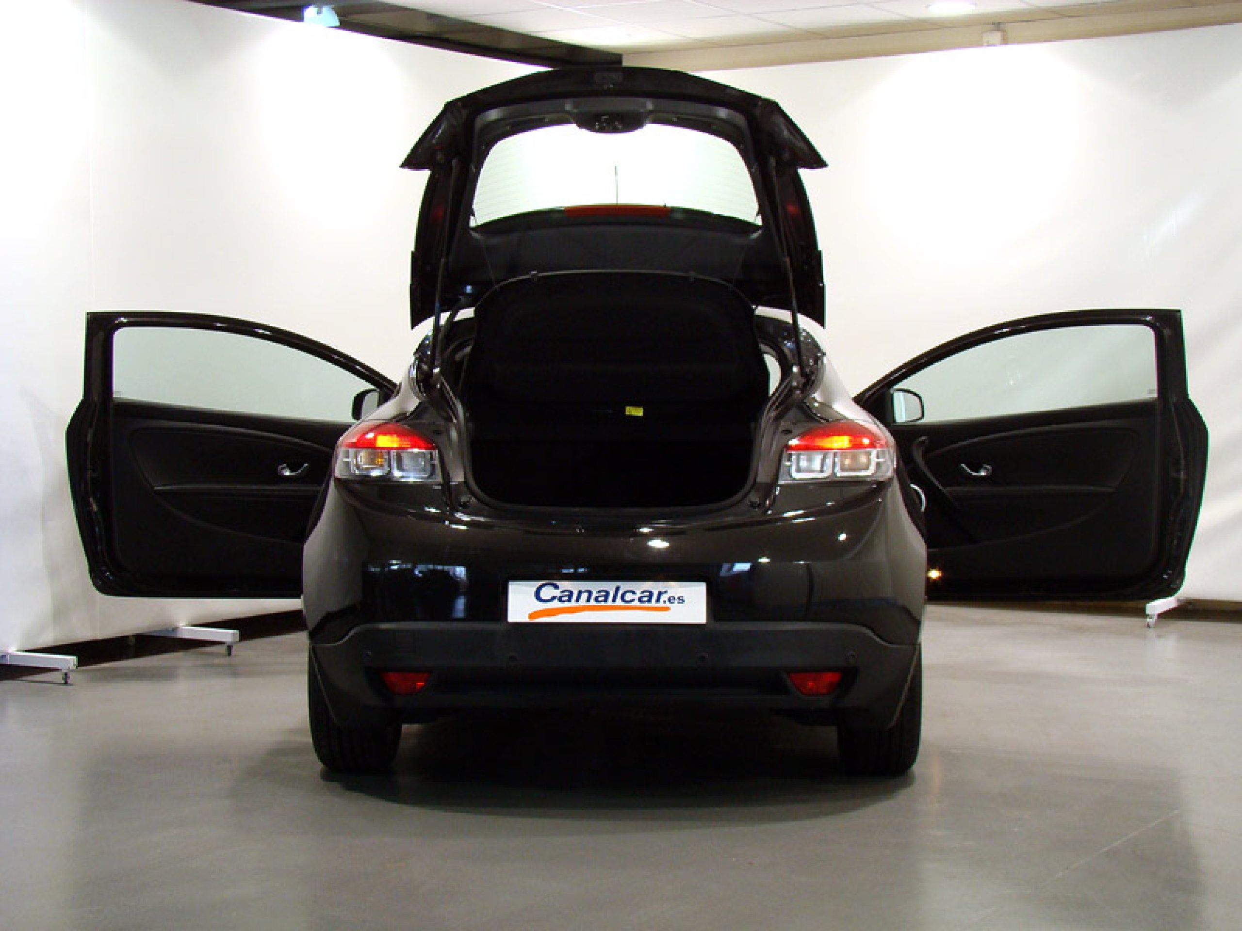 Foto Renault Megane 12