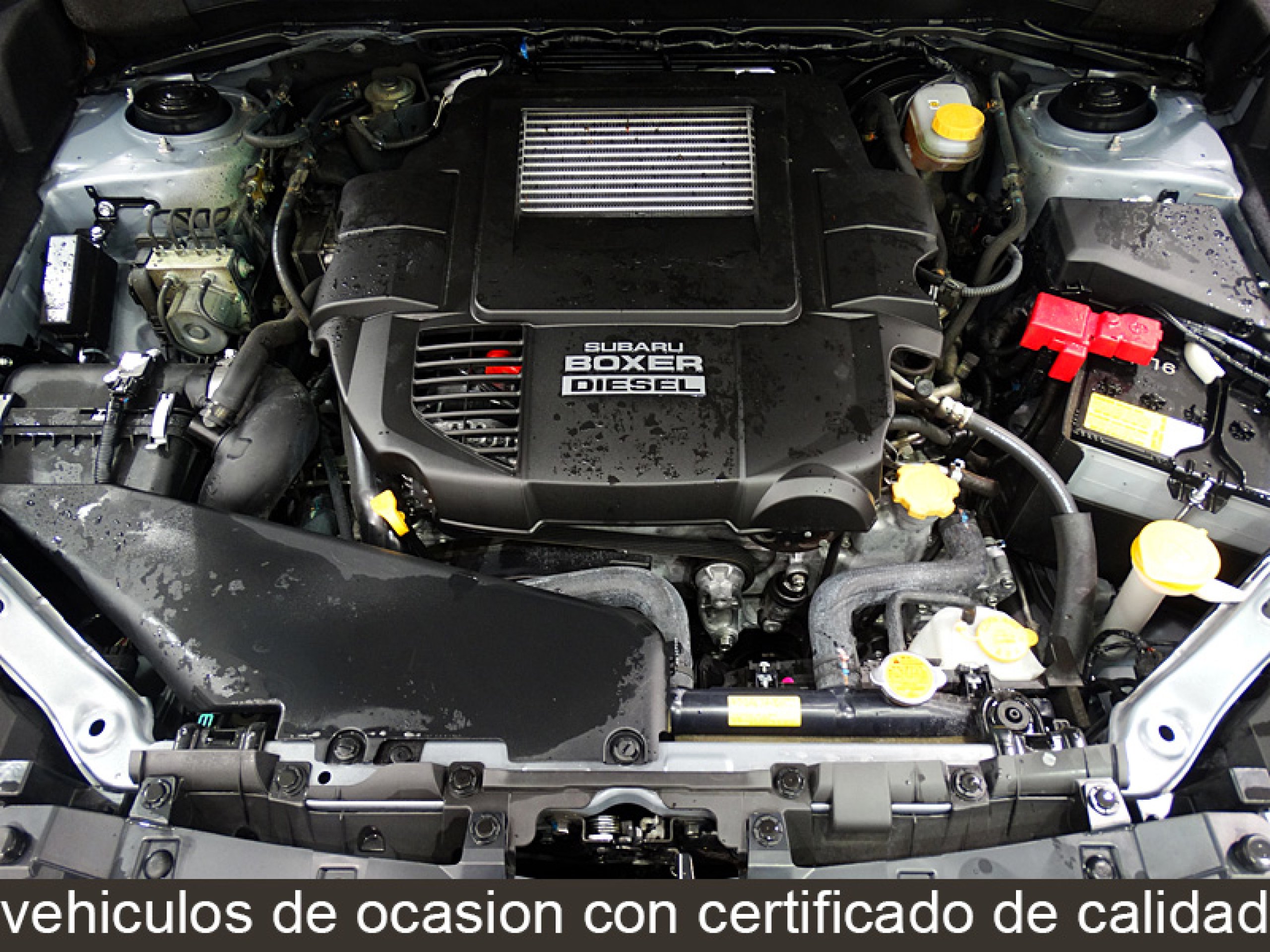 Foto Subaru Forester 10