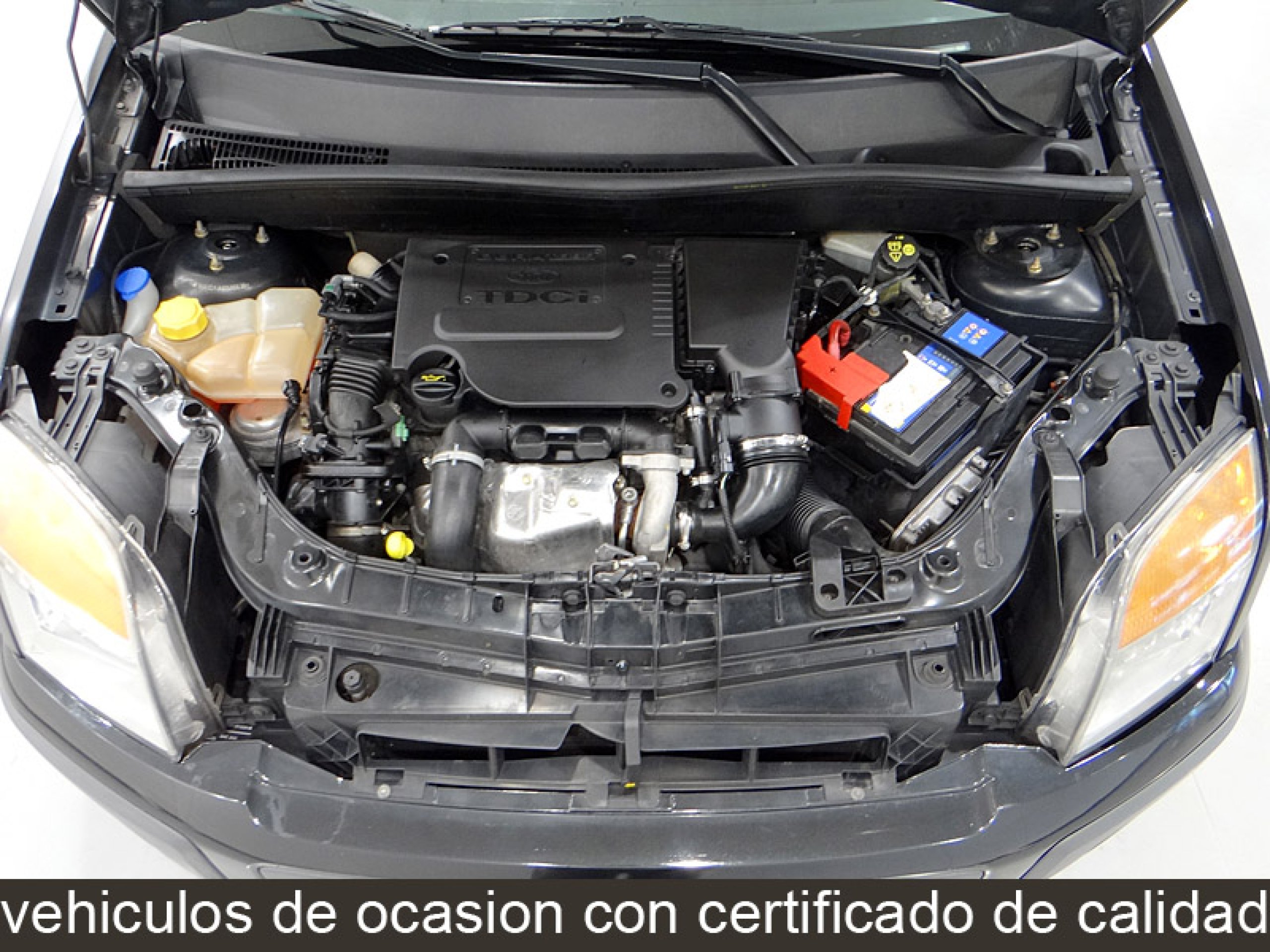 Foto Ford Fusion 18