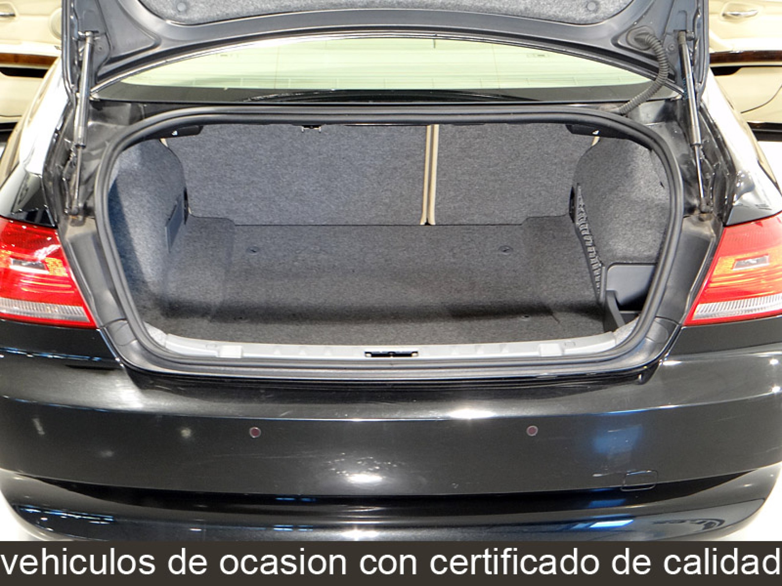 Foto Bmw 325 15