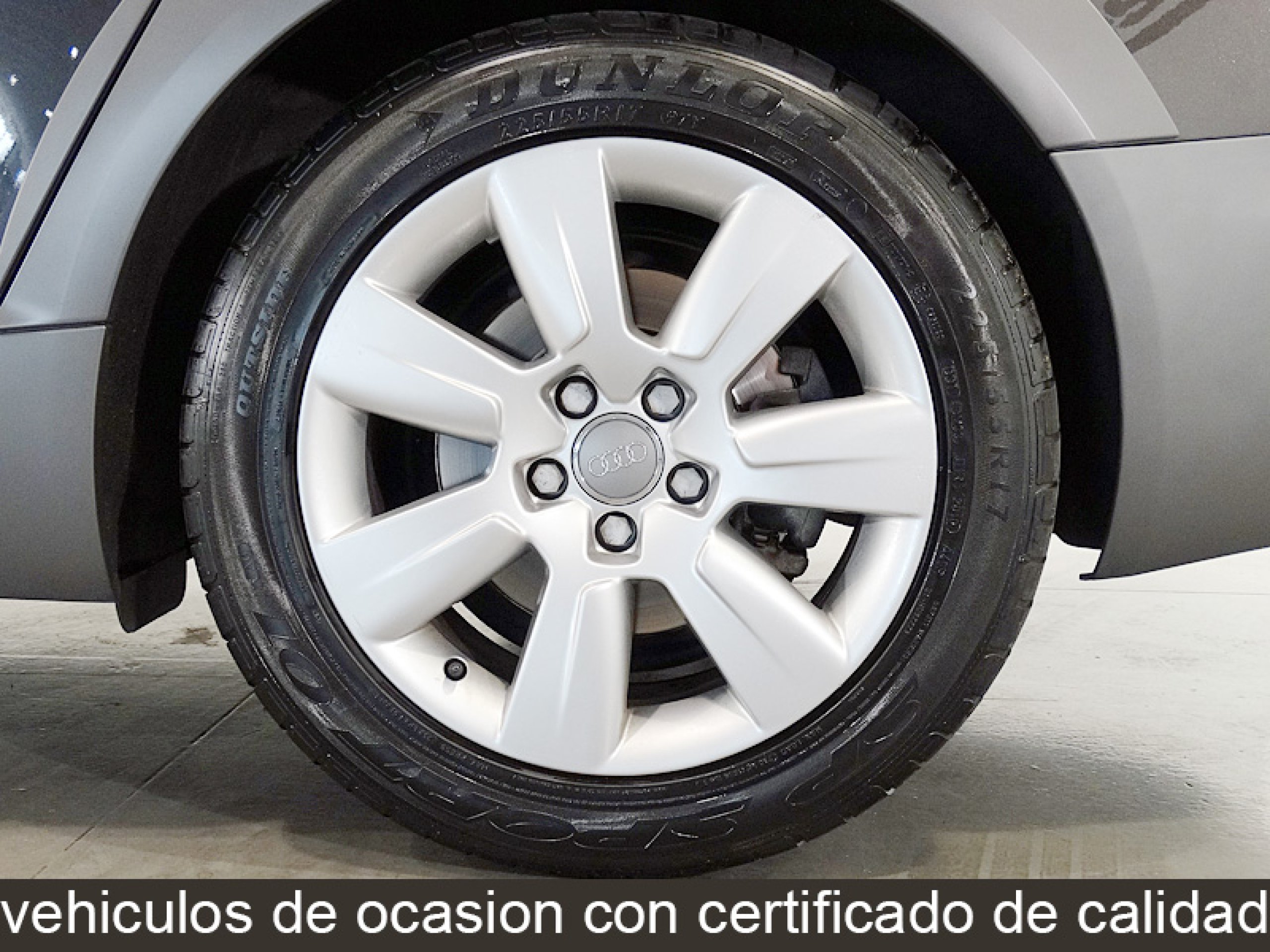 Foto Audi Allroad 42