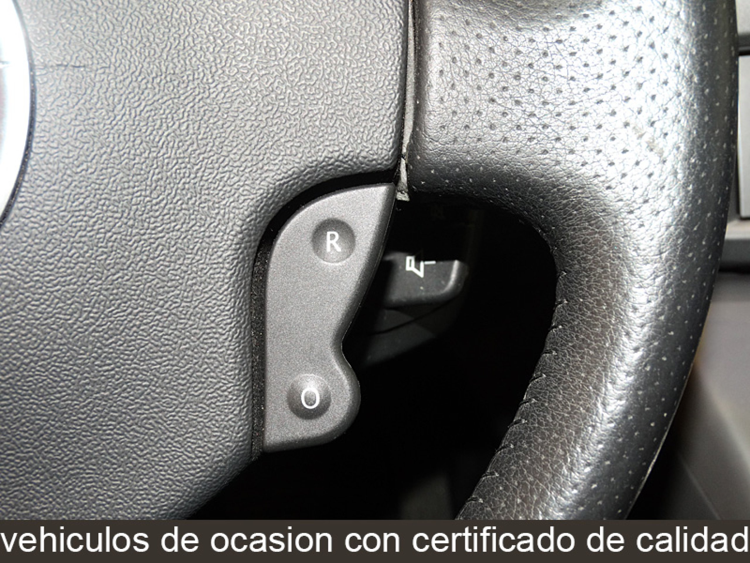 Foto Renault Scenic 19