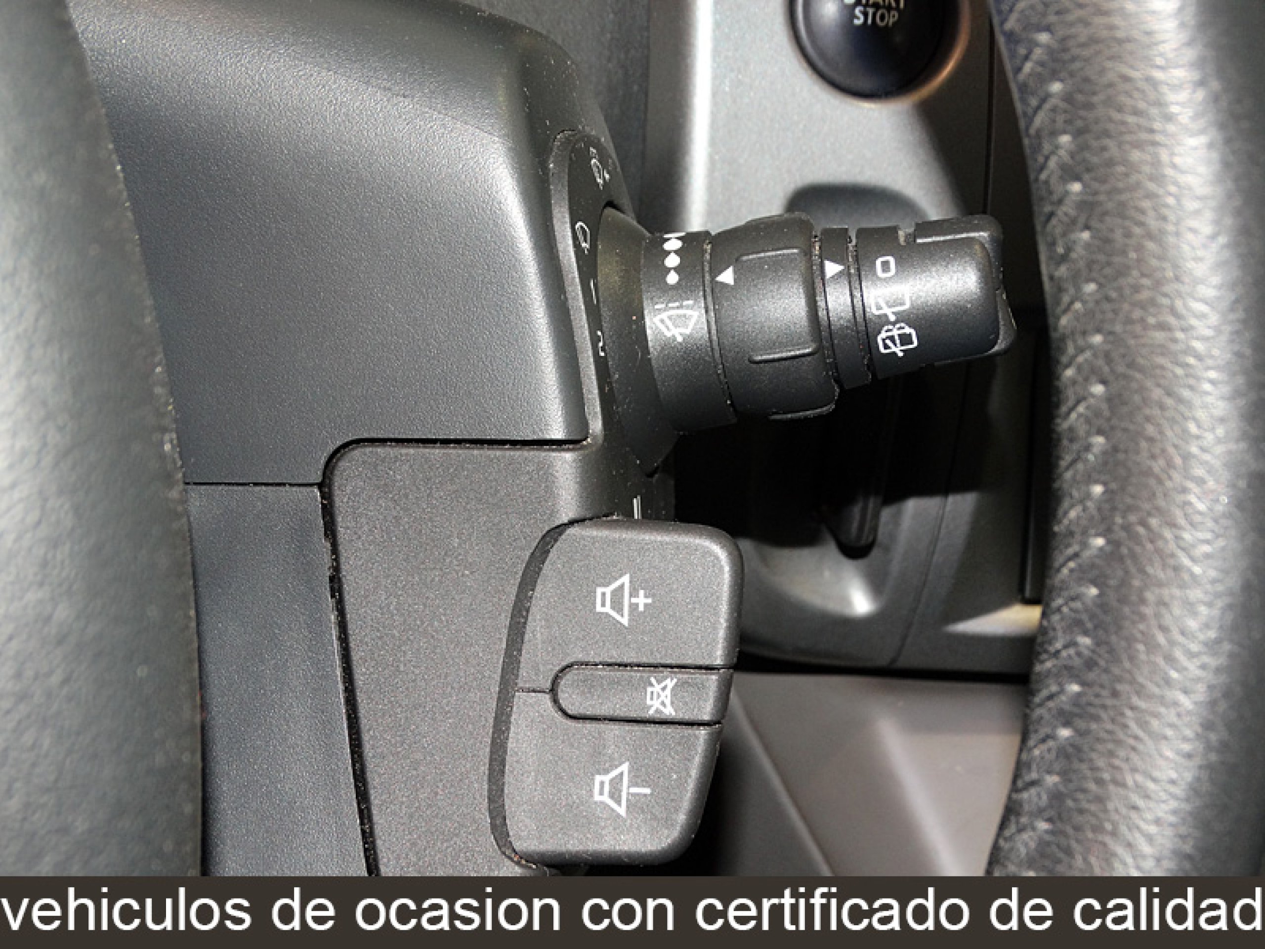 Foto Renault Scenic 21