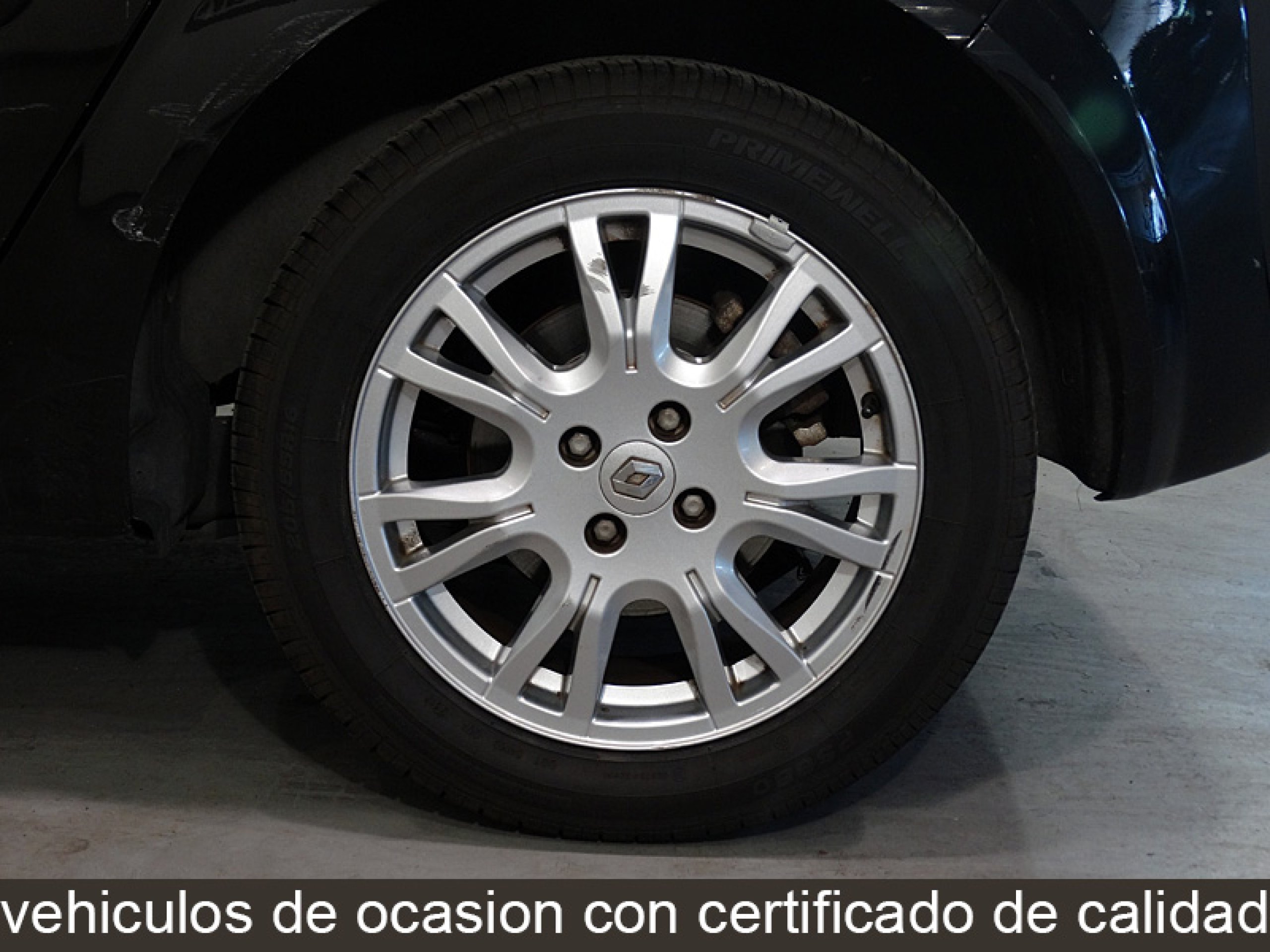 Foto Renault Scenic 23