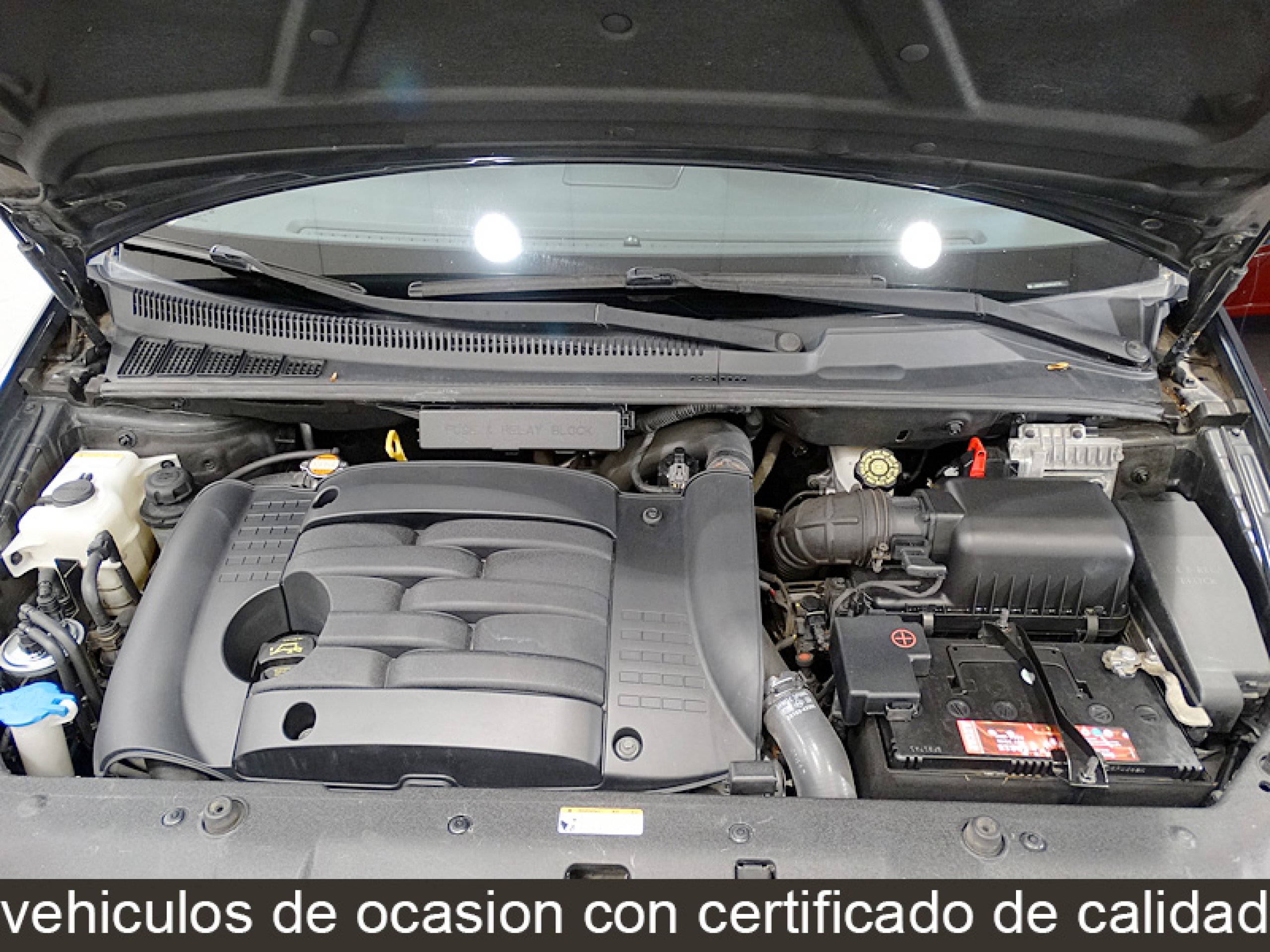 Foto Kia Carnival 19