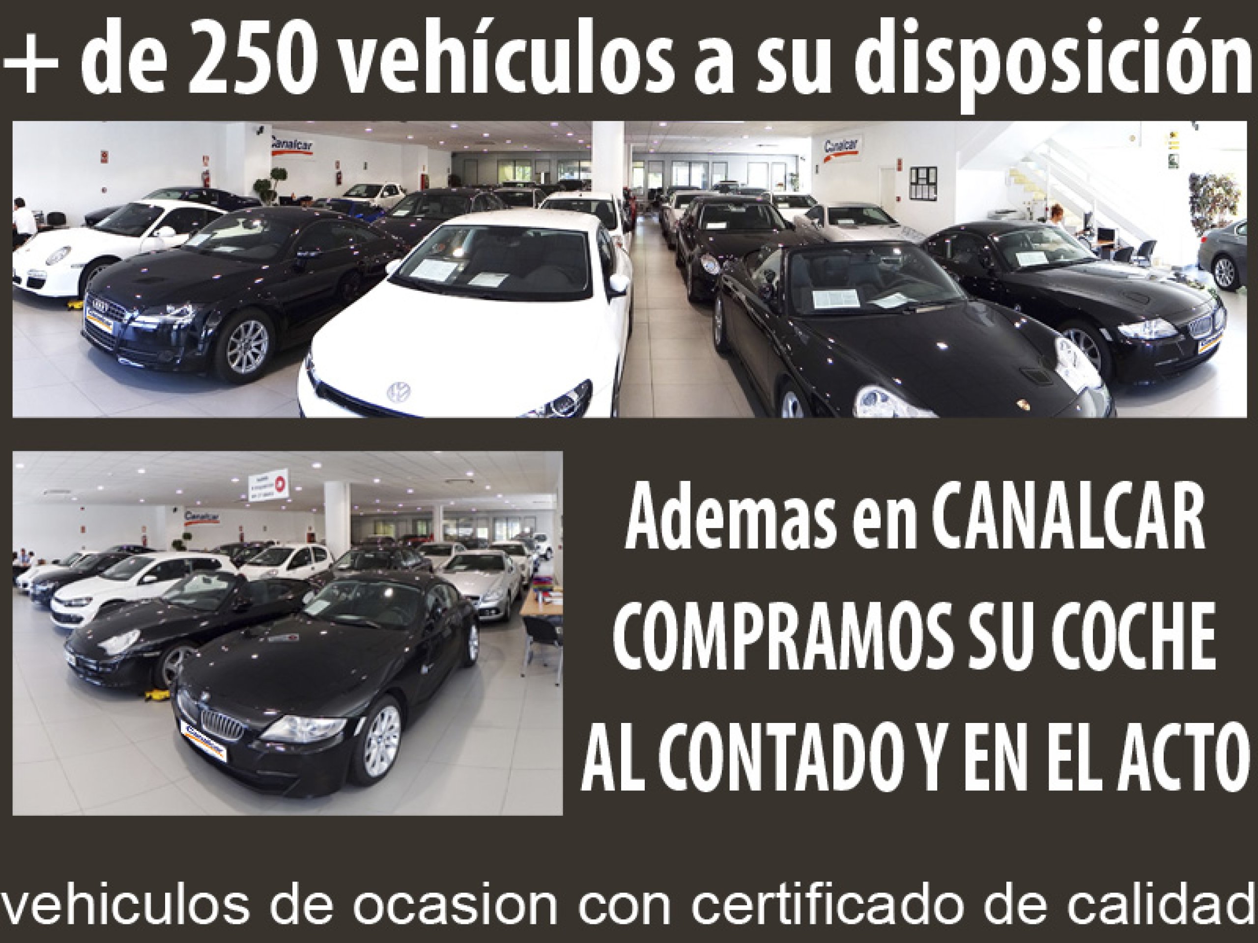 Foto Kia Carnival 46