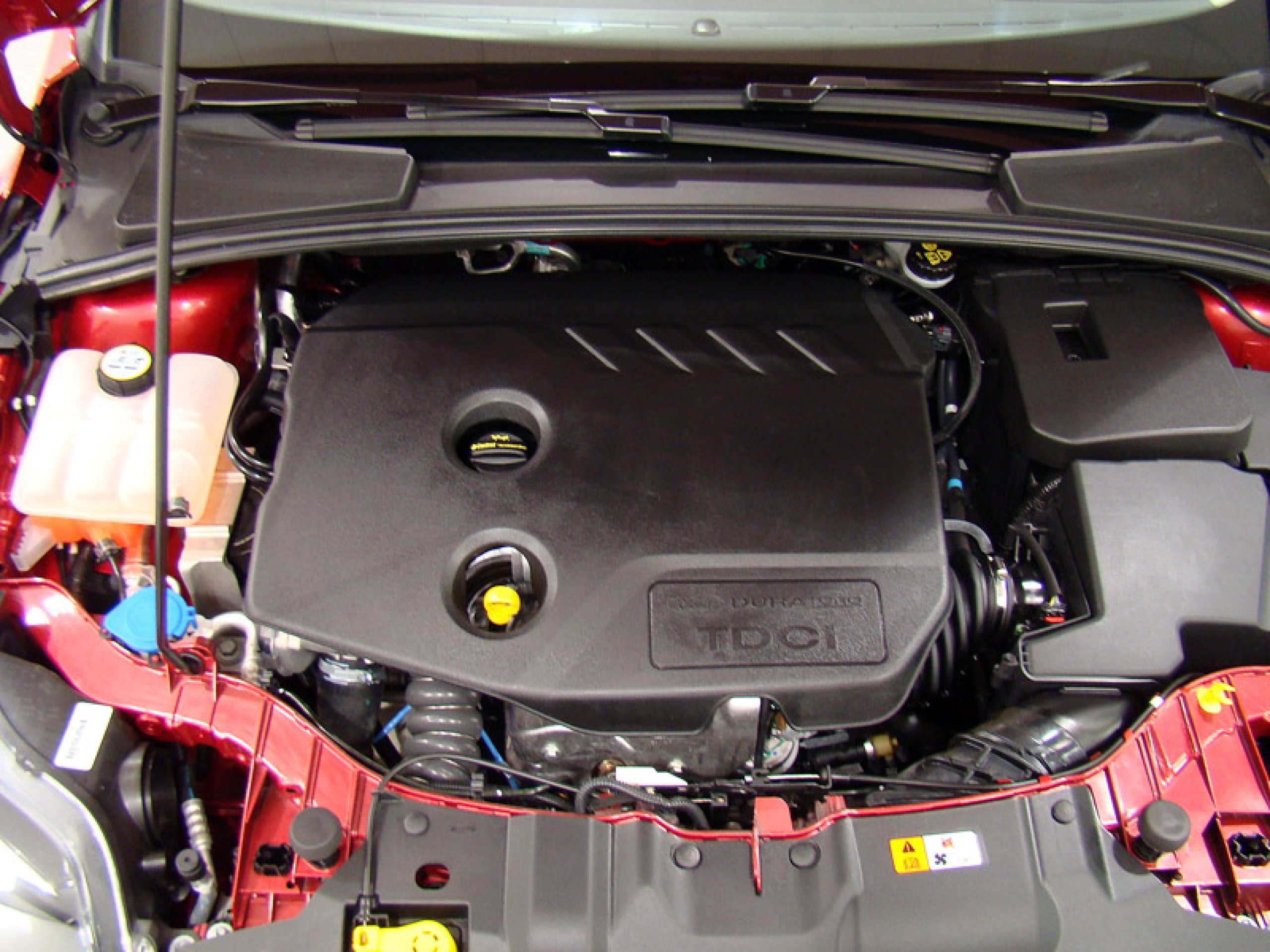 Foto Ford Focus 19