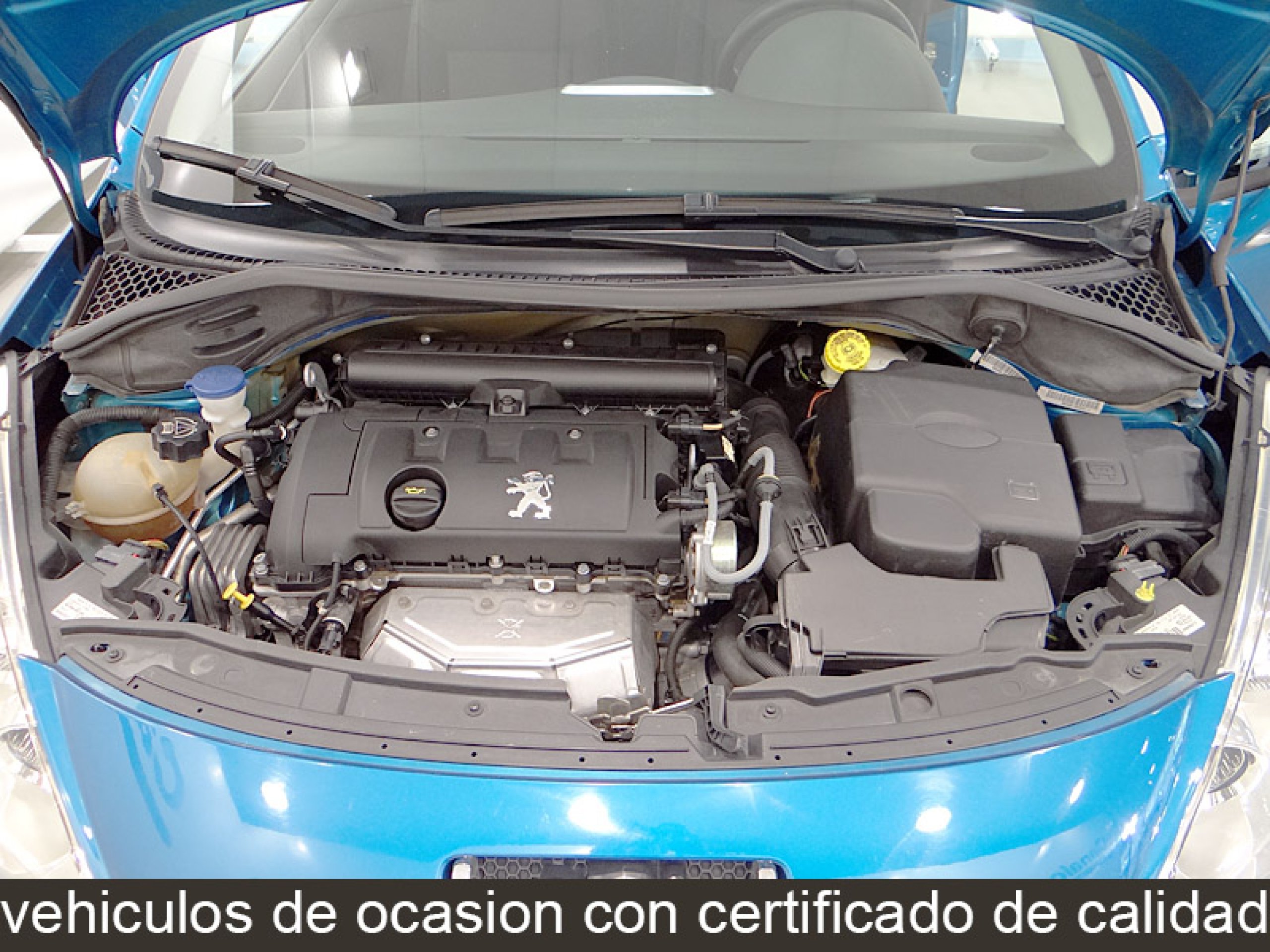 Foto Peugeot 207 12