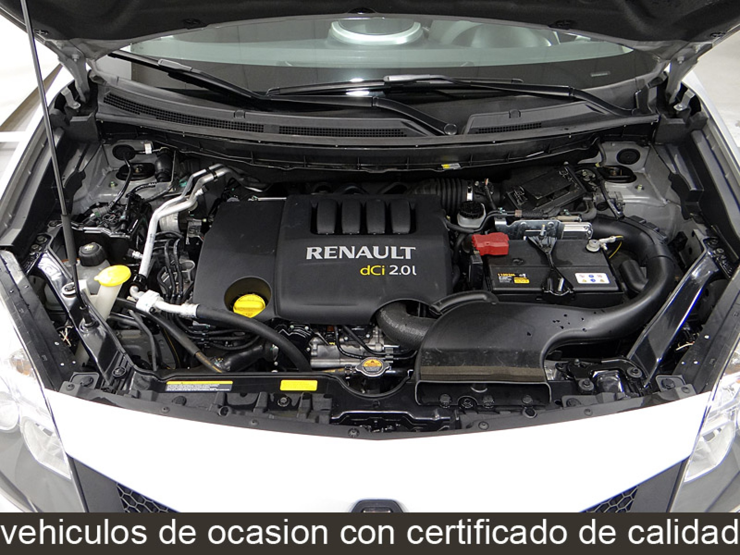 Foto Renault Koleos 20