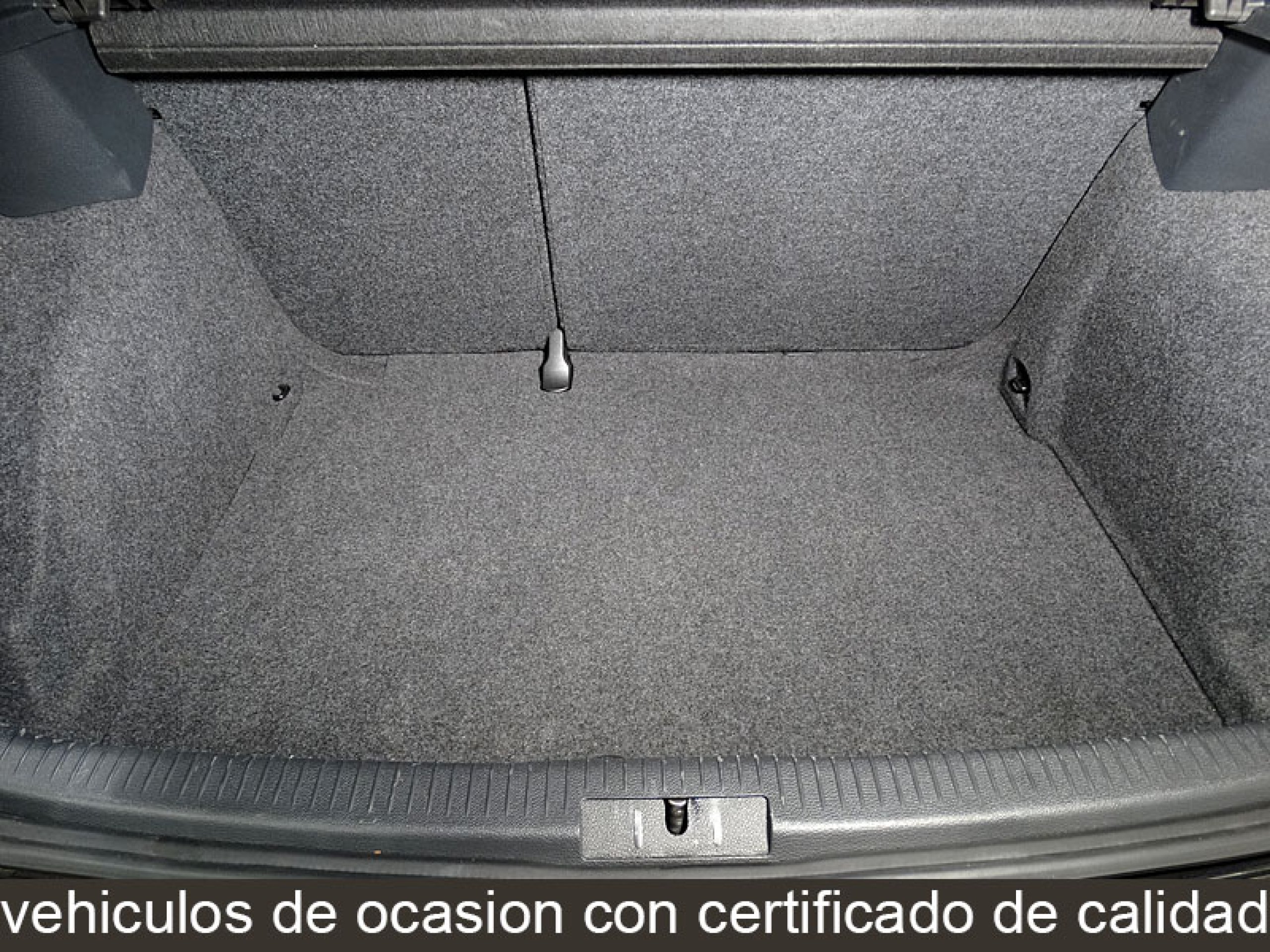 Foto Volkswagen Golf 12