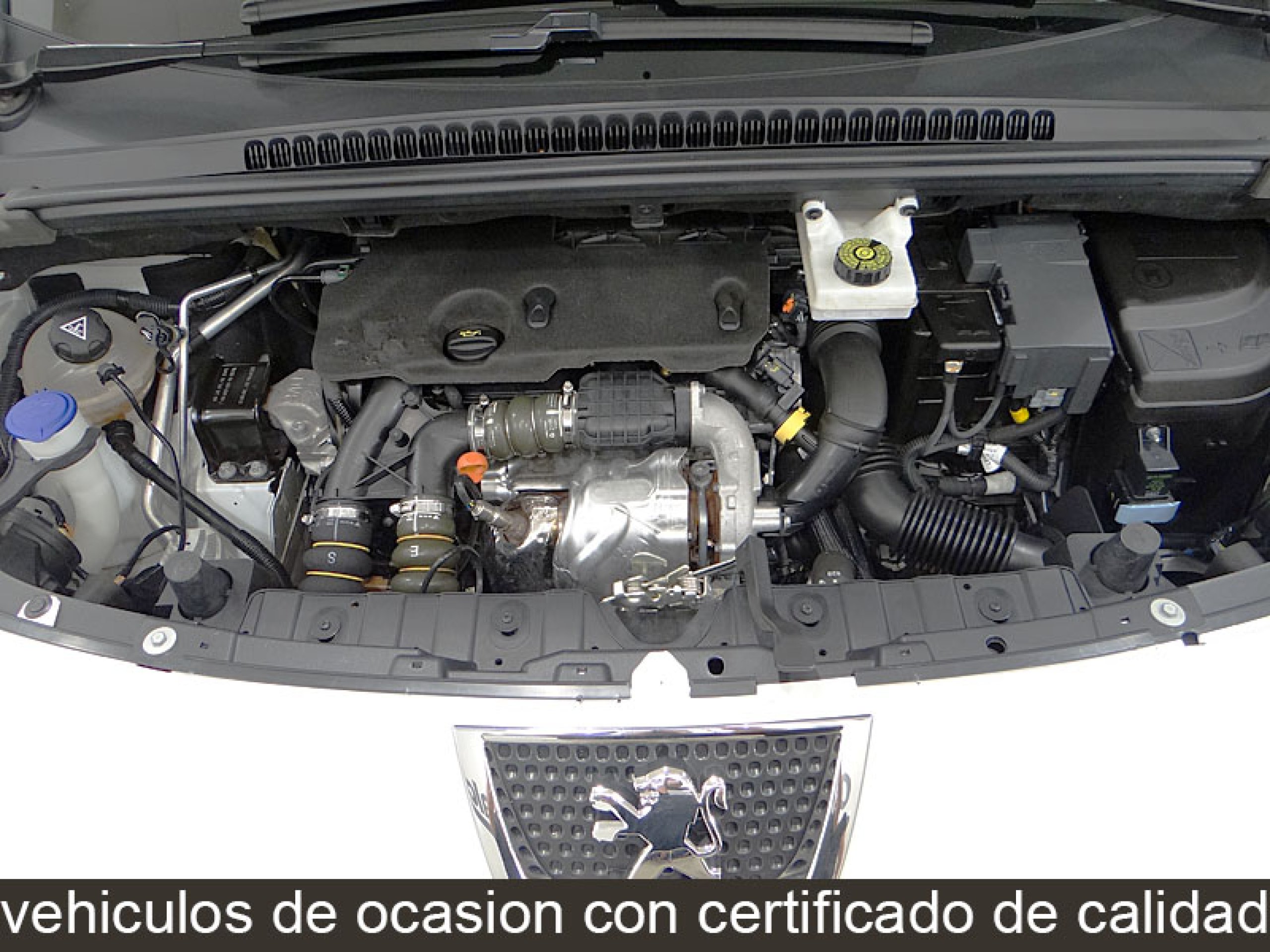 Foto Peugeot 3008 11