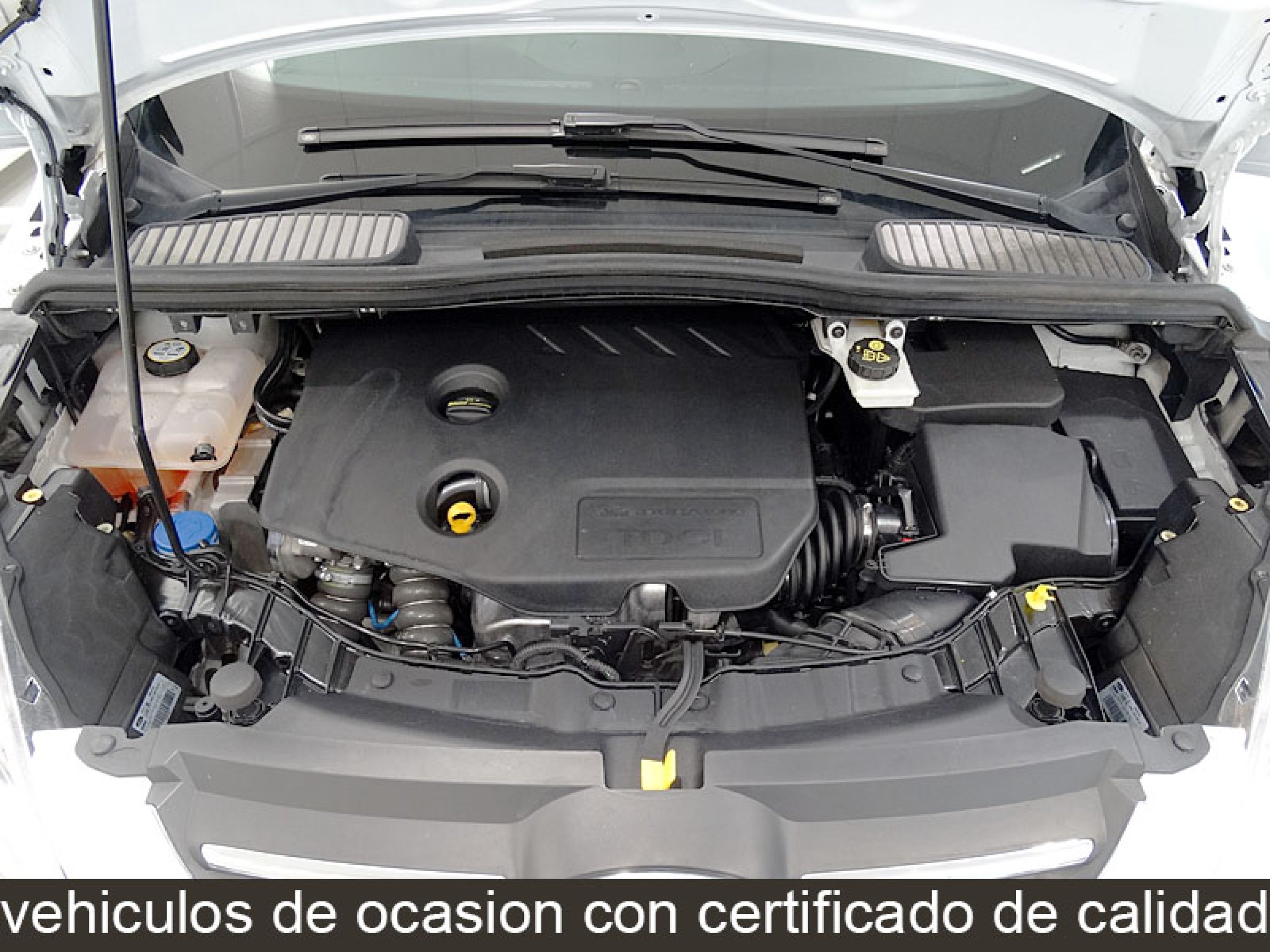 Foto Ford C-Max 13