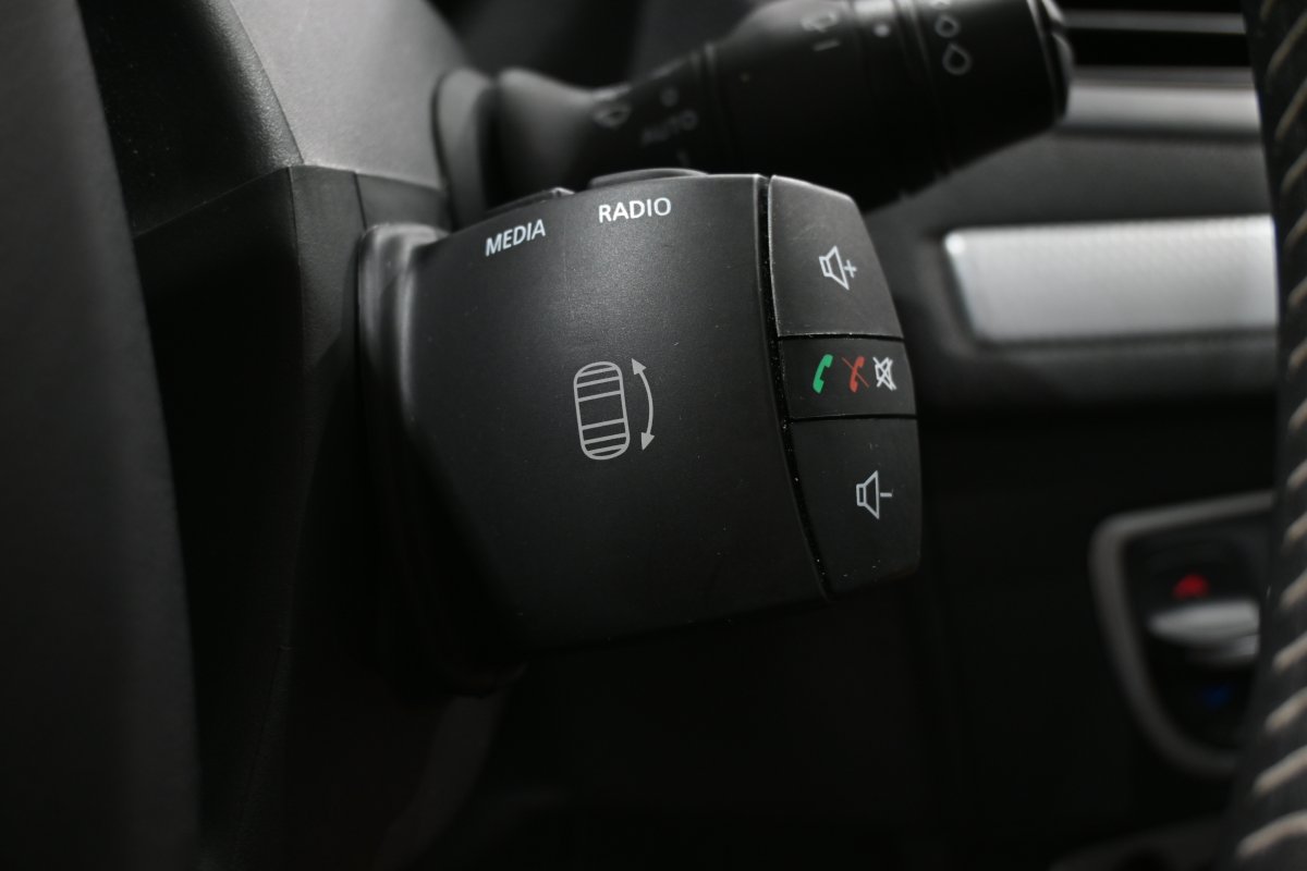 Foto Renault Megane 22