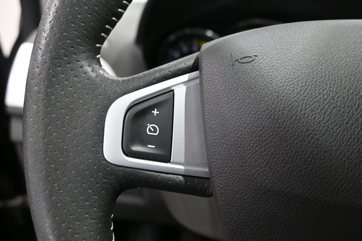 Foto Renault Megane 18
