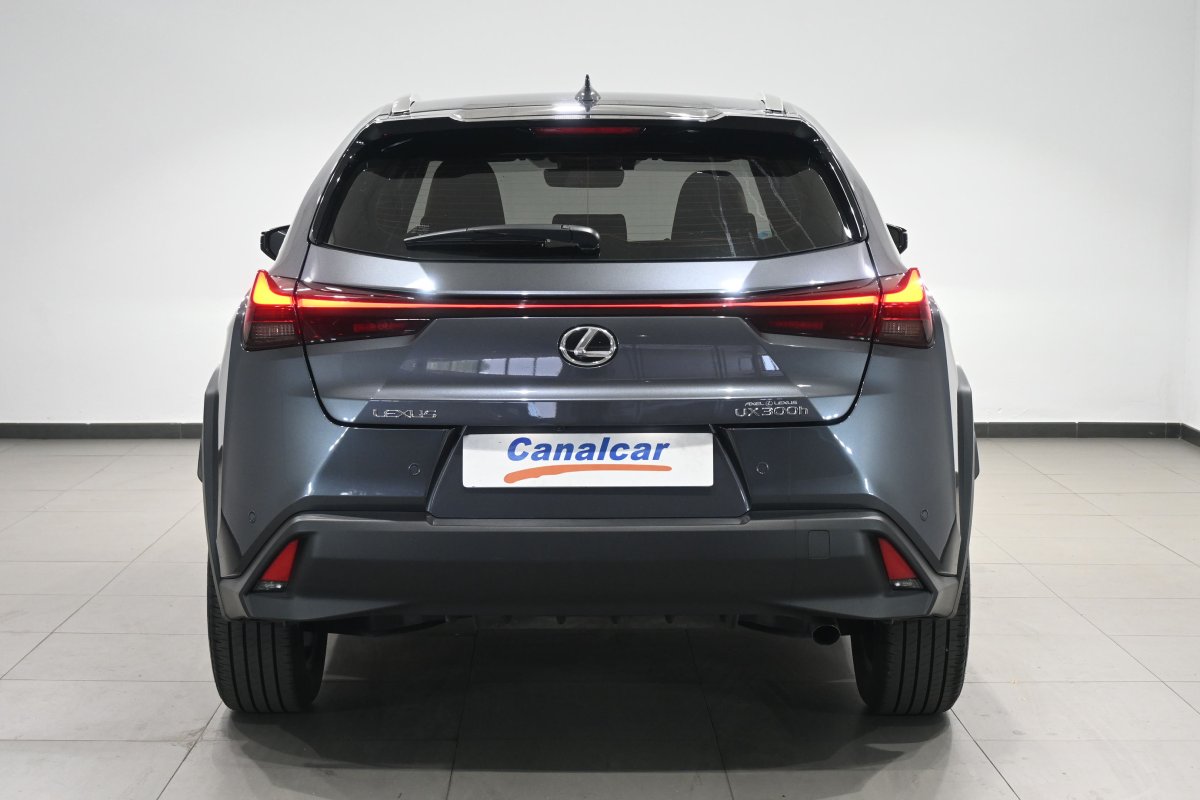 Foto Lexus UX 2.0 300h 5