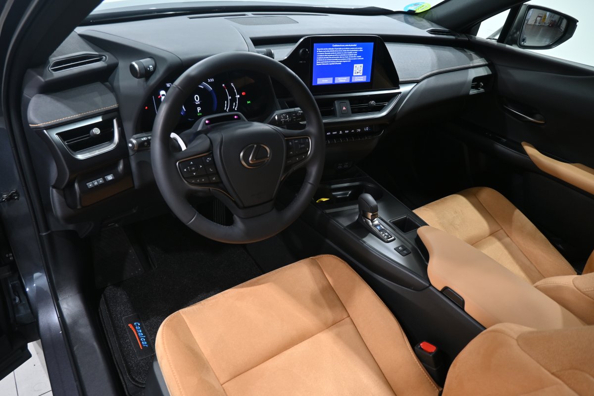 Foto Lexus UX 2.0 300h 9