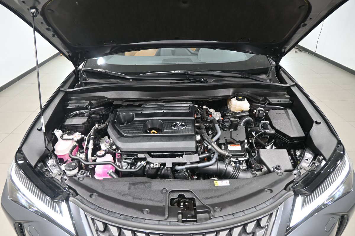 Foto Lexus UX 2.0 300h 7