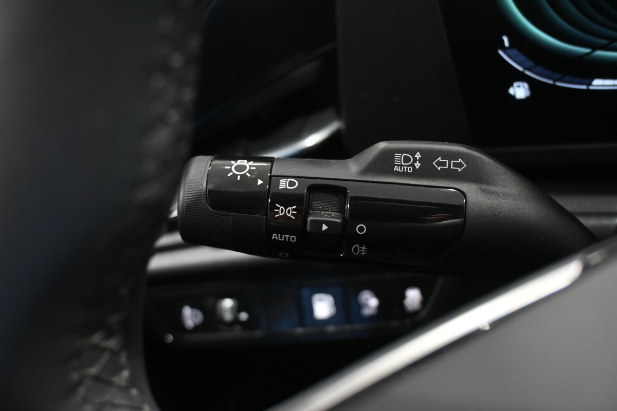 Foto Kia Niro 20
