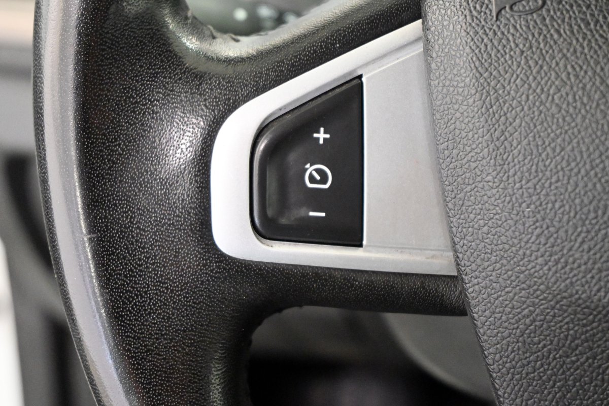Foto Renault Megane 25