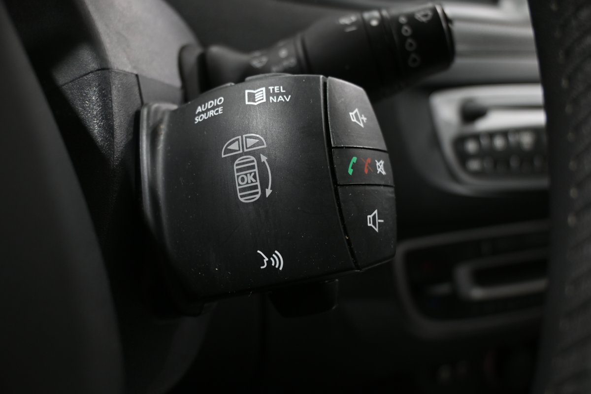 Foto Renault Scenic 23