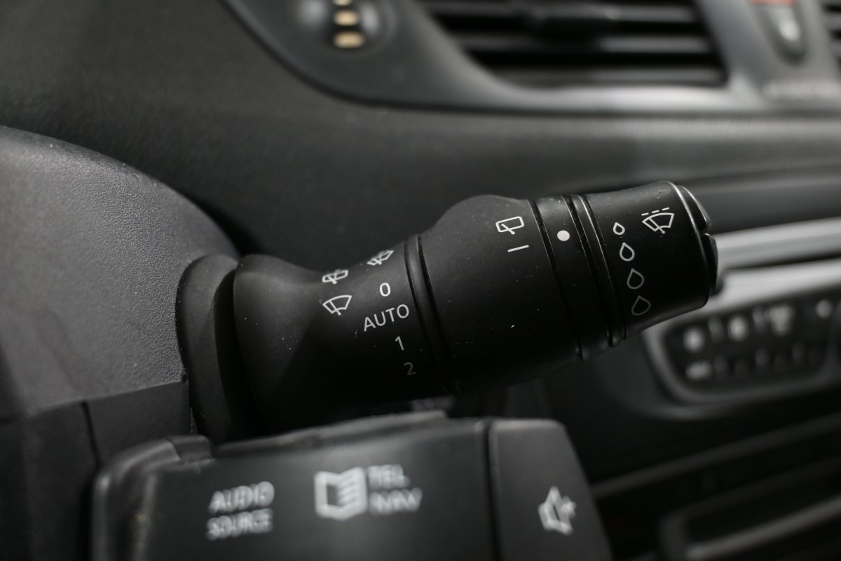 Foto Renault Scenic 22