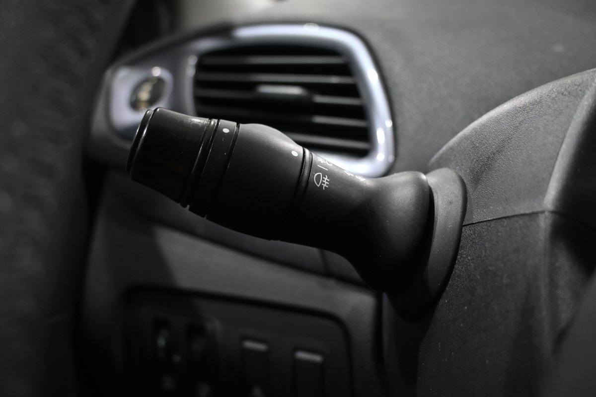 Foto Renault Scenic 21