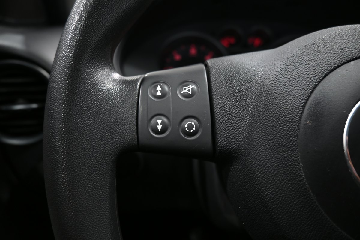 Foto Seat Ibiza 19