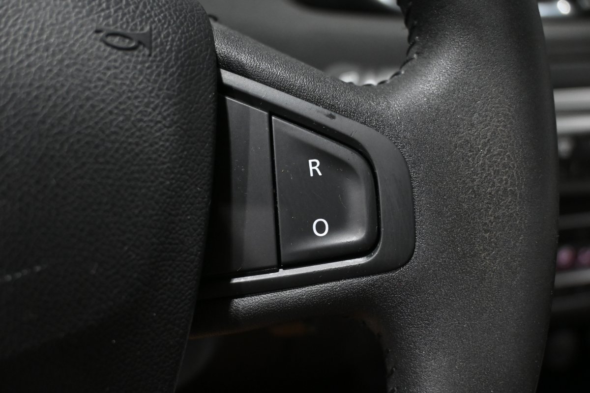 Foto Renault Grand 22
