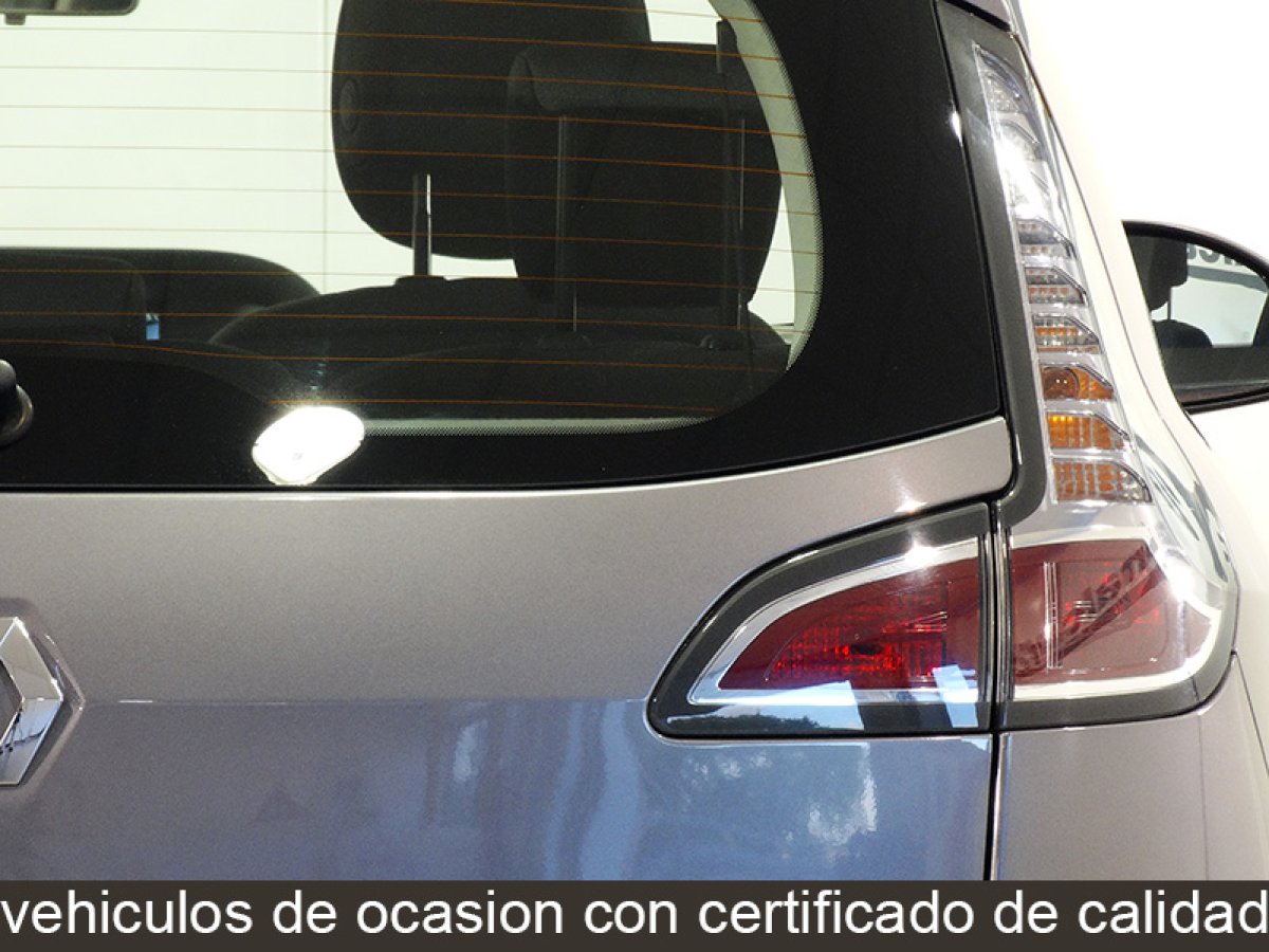 Foto Renault Scenic 13