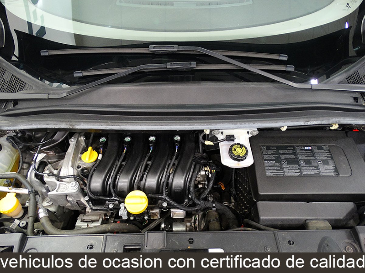 Foto Renault Scenic 14