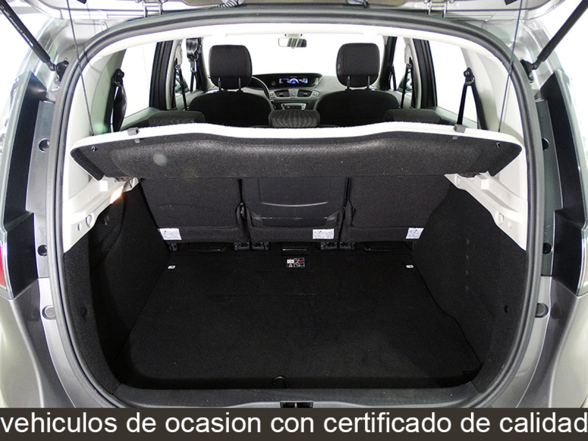 Foto Renault Scenic 15