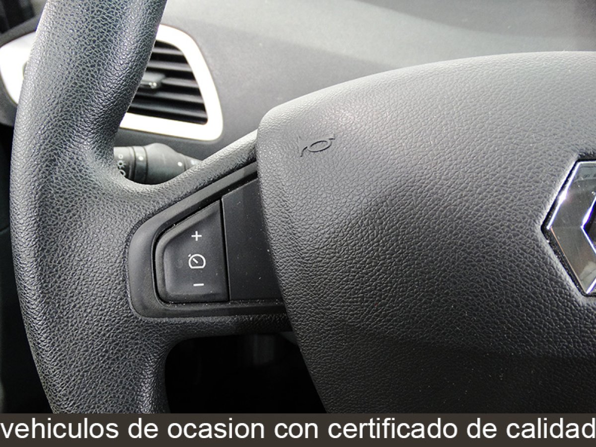 Foto Renault Scenic 22