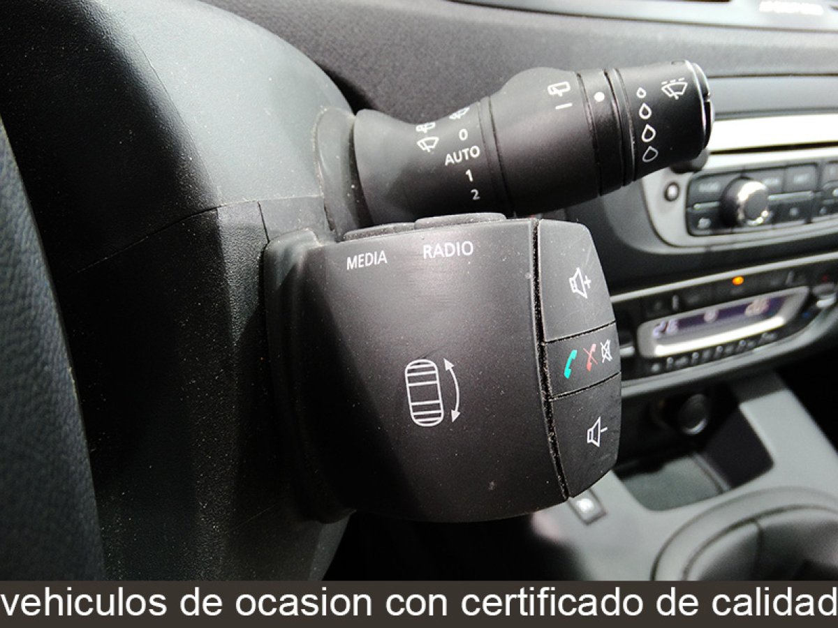 Foto Renault Scenic 25