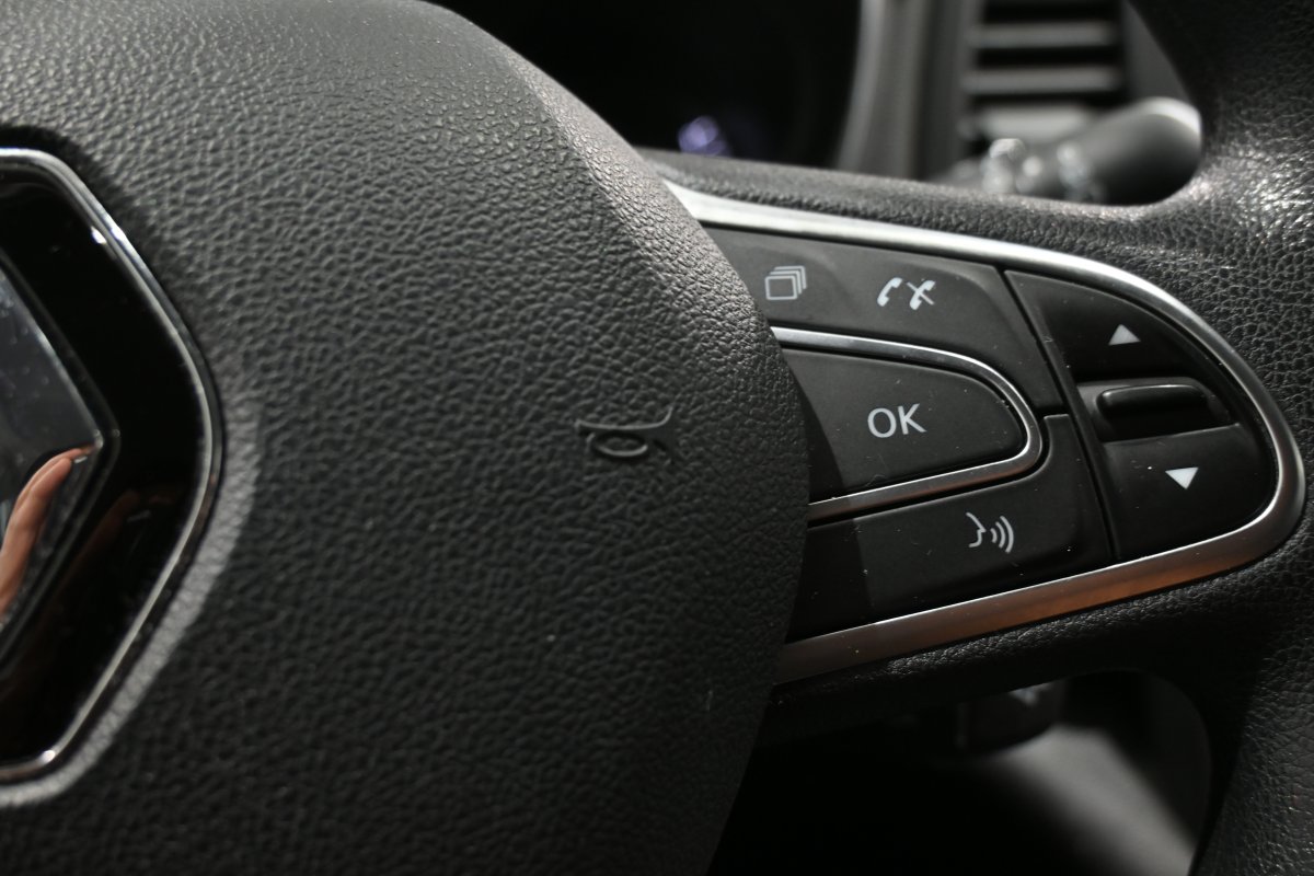 Foto Renault Megane 21