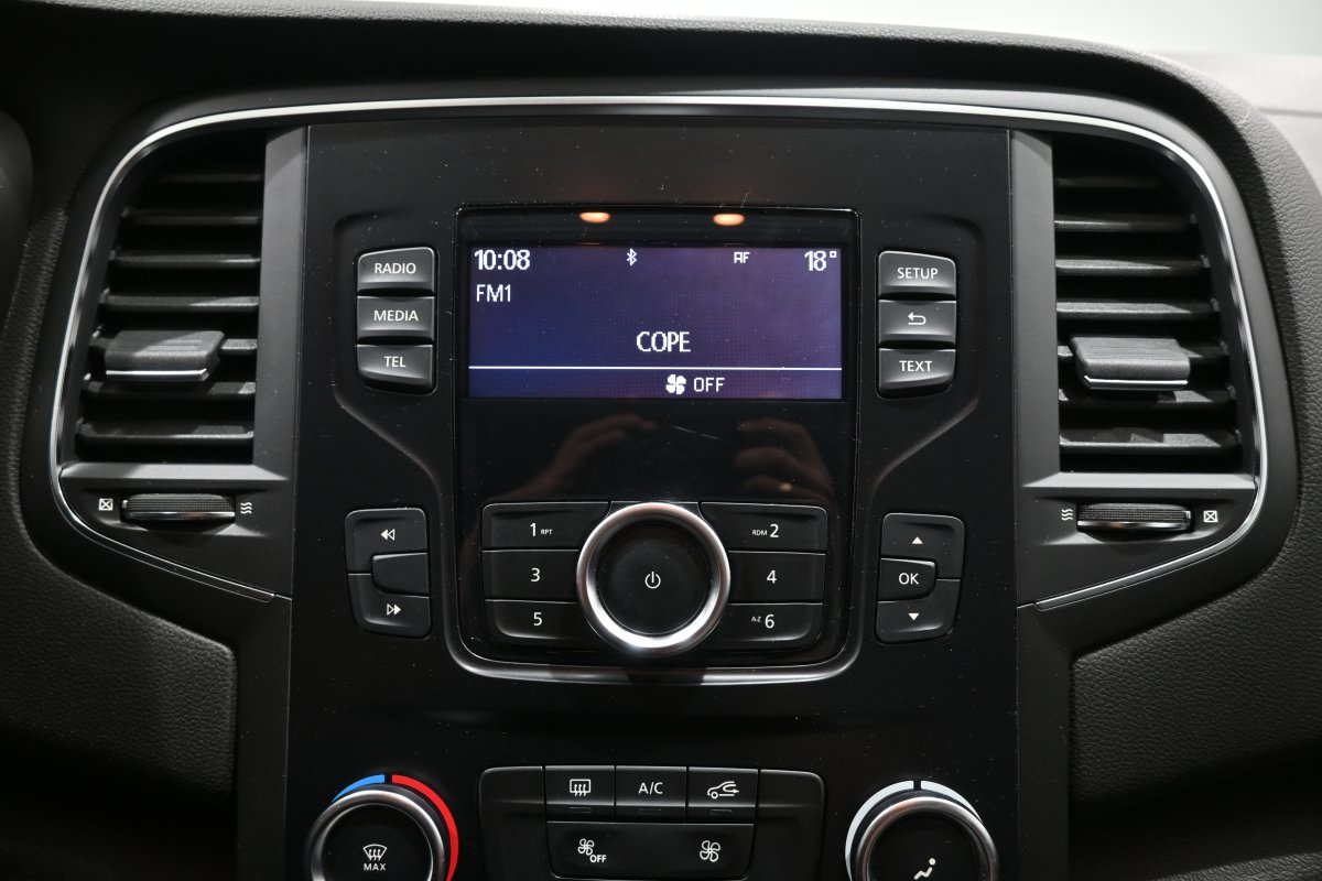 Foto Renault Megane 15