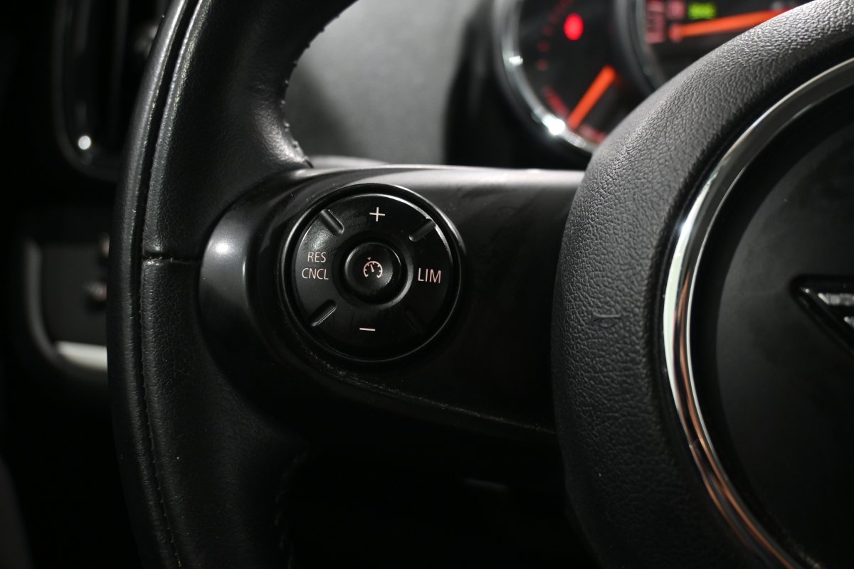 Foto Mini Countryman 21