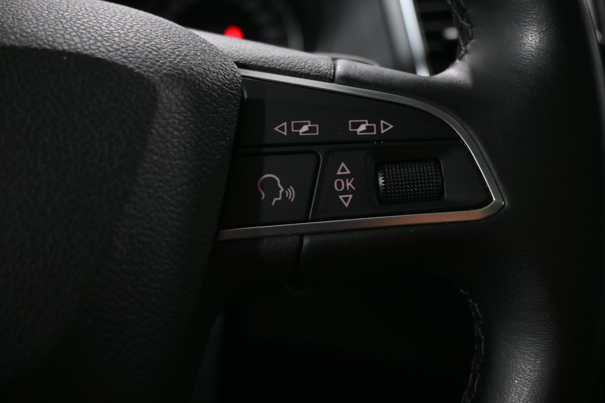 Foto Seat Alhambra 21