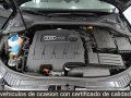 Thumbnail 15 del Audi A3 1.6 TDI Ambiente 105CV